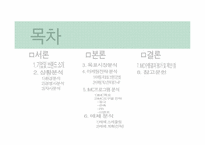 [광고판촉] 하이트맥주 HITE 브랜드 IMC사례 분석-2