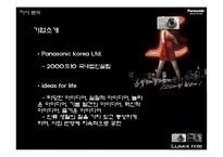 [광고기획] 파나소닉 루믹스 광고분석-10