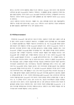 HBR Snapple 마케팅 사례 분석-5