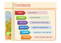 [전략경영론] 김해 관광 활성화 전략-2