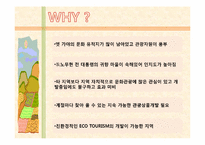 [전략경영론] 김해 관광 활성화 전략-3