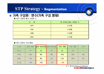 [국제마케팅] 한경희 스팀청소기 영국진출전략-4