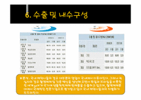 [기업분석] 녹십자와 한국슈넬제약 비교 분석-19