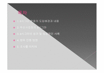 [품질경영] 삼성 SDI 6시그마-2