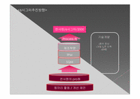 [품질경영] 삼성 SDI 6시그마-7