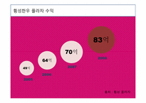 [이벤트마케팅] 횡성한우축제 마케팅 계획-9