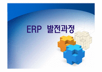 ERP의 문제점, 도입 성공사례-5