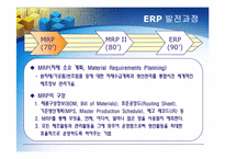 ERP의 문제점, 도입 성공사례-6