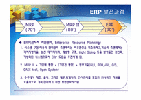 ERP의 문제점, 도입 성공사례-8