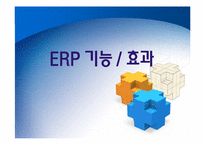 ERP의 문제점, 도입 성공사례-9