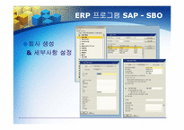 ERP의 문제점, 도입 성공사례-14