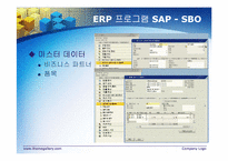 ERP의 문제점, 도입 성공사례-15