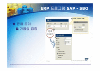 ERP의 문제점, 도입 성공사례-18