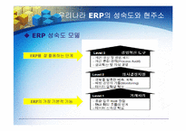 ERP의 문제점, 도입 성공사례-20