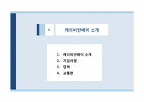 [관광서비스론] 캐리비안 베이 서비스분석-3
