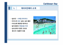 [관광서비스론] 캐리비안 베이 서비스분석-4