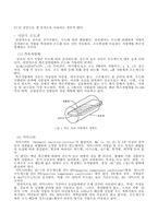 온도 측정 결과-6