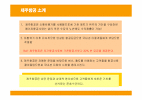 [경영전략] 제주항공의 전략과 성공, 실패요인-4