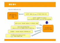 [경영전략] 제주항공의 전략과 성공, 실패요인-8