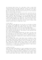 [경영전략] 삼성전자 반도체의 성공전략 분석-13