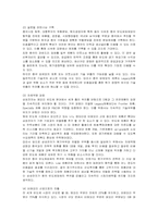 [경영전략] 삼성전자 반도체의 성공전략 분석-19