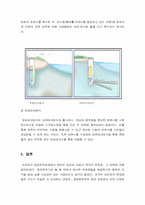 [화공생명공학] 한반도 대운하-17