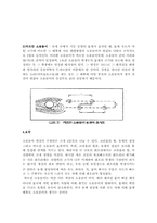 [유체역학] 회오리 분석-3