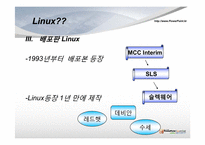리눅스(Linux) 오픈소스와 표준체제 경쟁-5