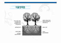 [화공생명공학] 한반도 대운하-9