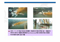 [화공생명공학] 한반도 대운하-12
