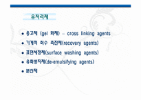 [화공생명공학] 한반도 대운하-14
