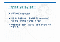 [화공생명공학] 한반도 대운하-15