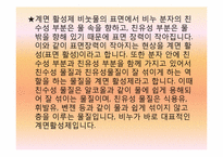 세제와 화학 레포트-11