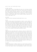 재혼가족의 문제점과 실태 및 향후방안-3