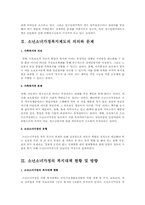 소년소녀가정의 복지와 대책방안-2