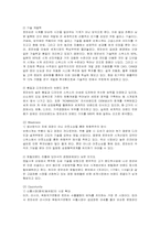 [마케팅] 로만손의 해외 진출 마케팅 전략-5
