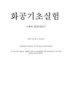 예비-3족 양이온 분석-1