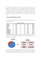 [마케팅] 삼성넷북 N-10-10