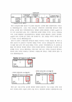 [마케팅] 삼성넷북 N-10-13