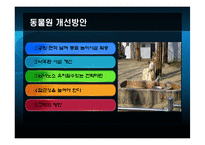 [레저산업] 테마파크에 관한 분석-20