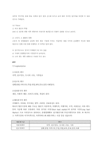 [마케팅관리] 대한항공의 마케팅관리 분석-6