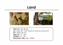 [와인과소믈리에] CONTERNO FANTINO(영문)-7