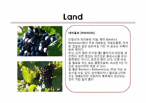 [와인과소믈리에] CONTERNO FANTINO(영문)-8
