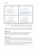 [사업계획서][이비즈니스와지식경영] WPT(world project team)-4