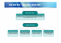 [경영전략] 포스코의 경영혁신 성공사례-9
