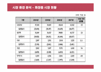 [경영전략] 미샤의 성공, 실패요인과 개선방안-12