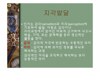 [인간행동] 영아기-9