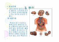 [운동처방] 요통-8