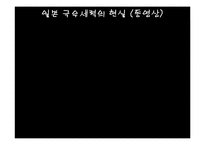 [독일사회] 일본의 과거청산 노력과 극우파의 실체-11