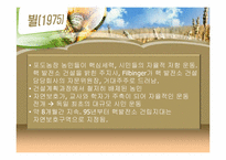 [독일사회] 독일의 생태운동-8